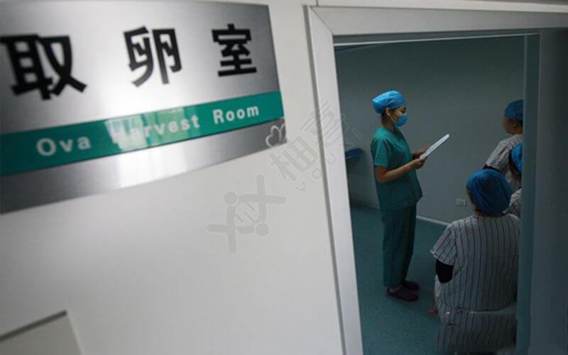 取卵房间