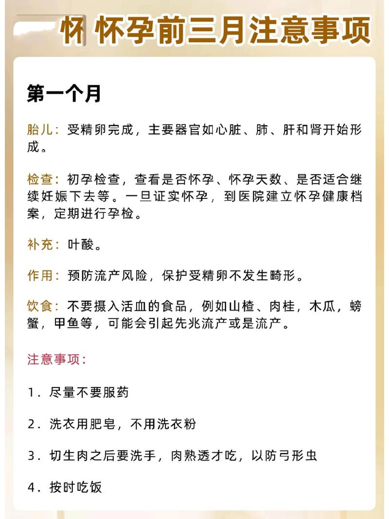 前三个月注意事项