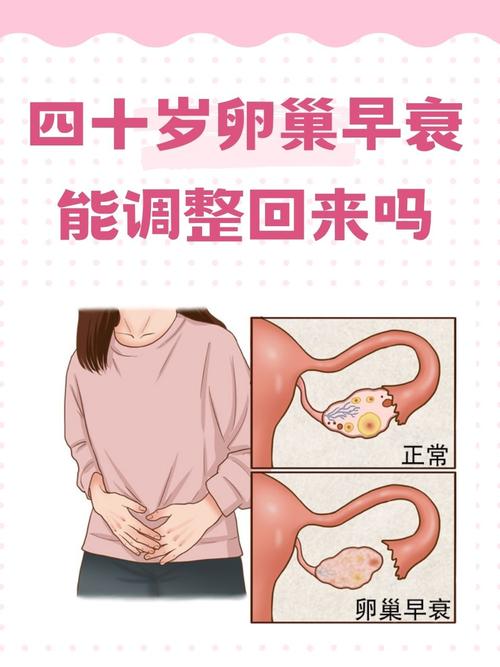 卵巢功能差