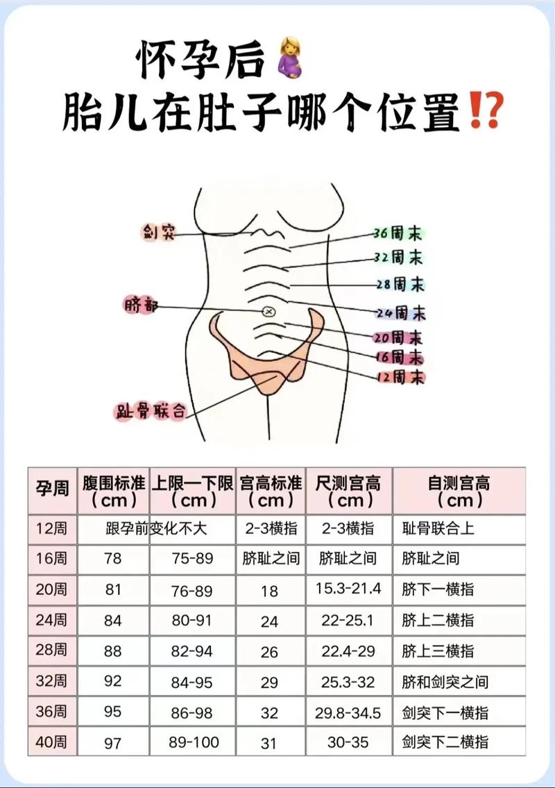 妊娠个数