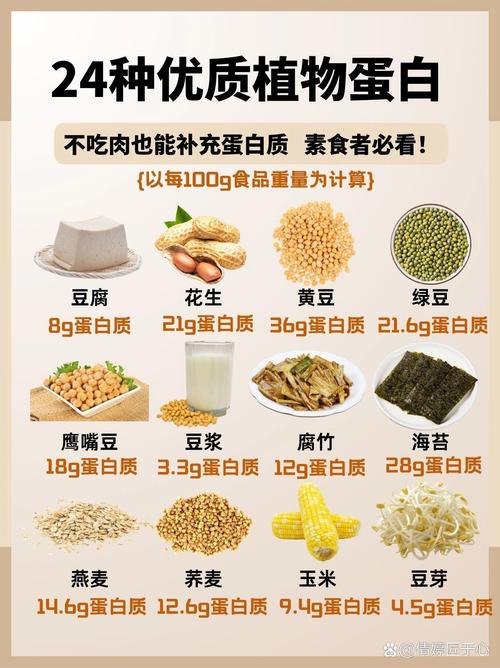 植物蛋白