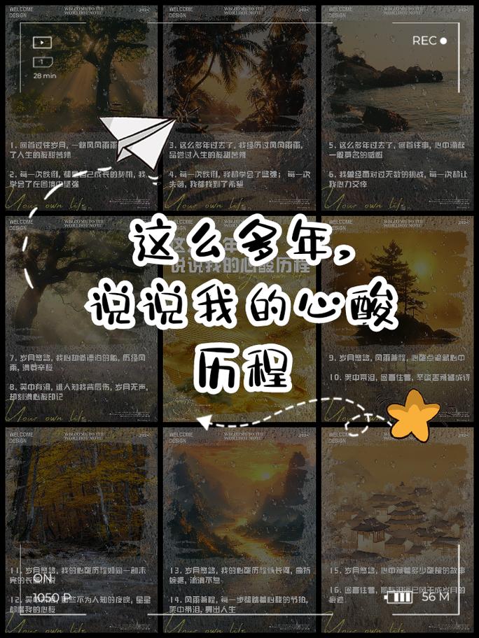 心酸历程