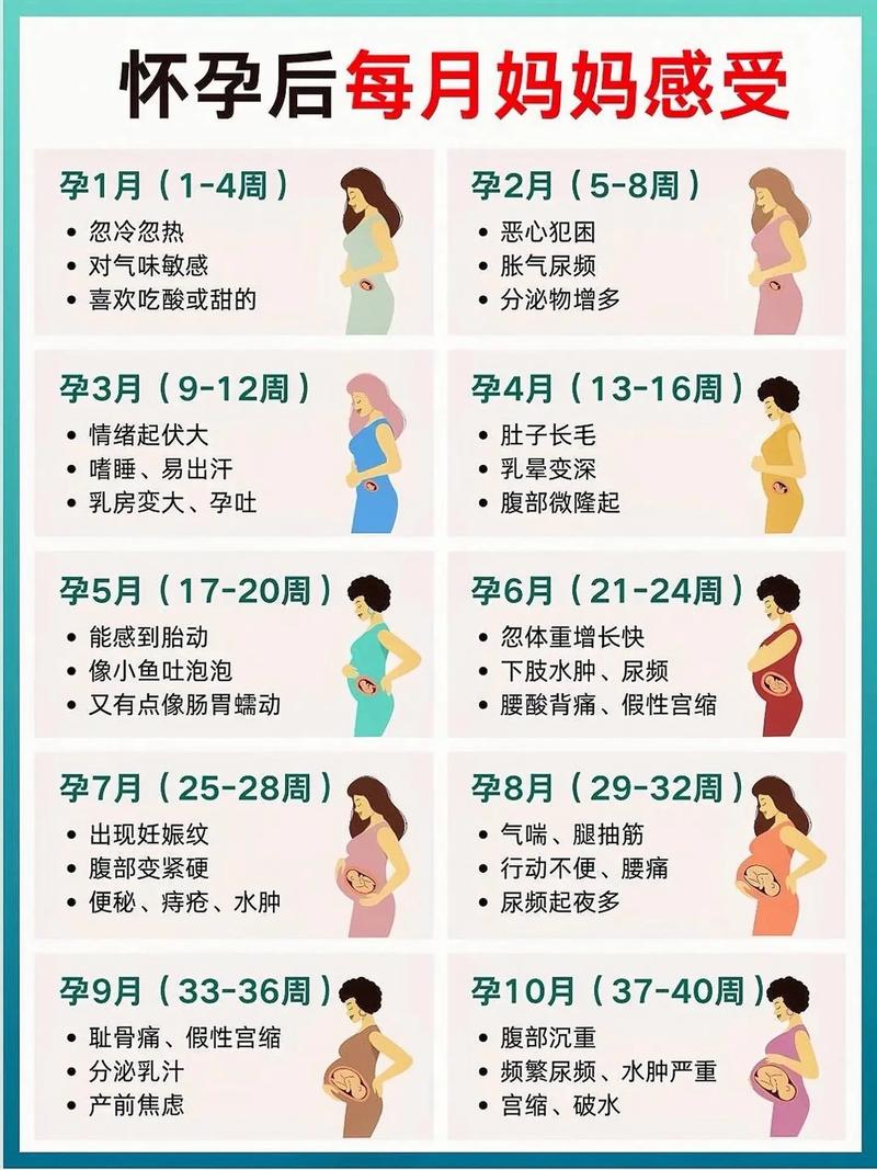 孕期经历