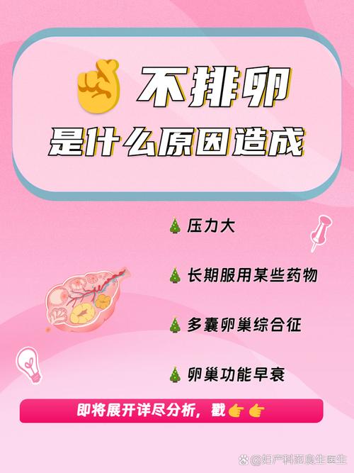 不排卵