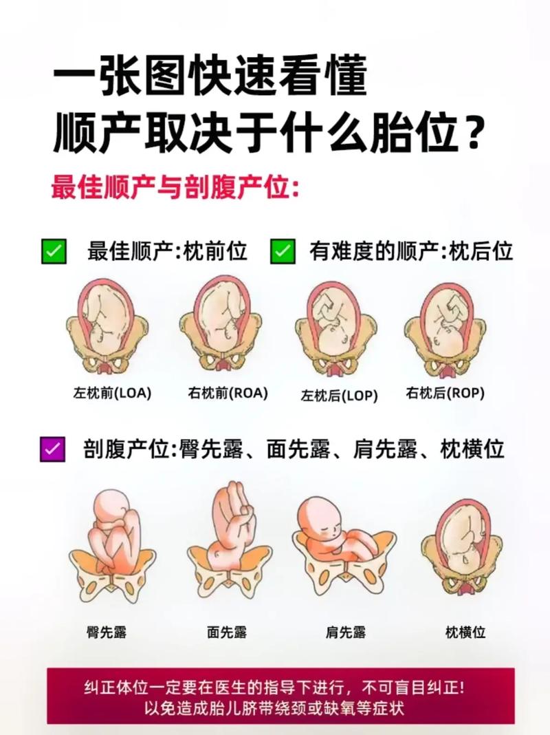  胚胎替换错误