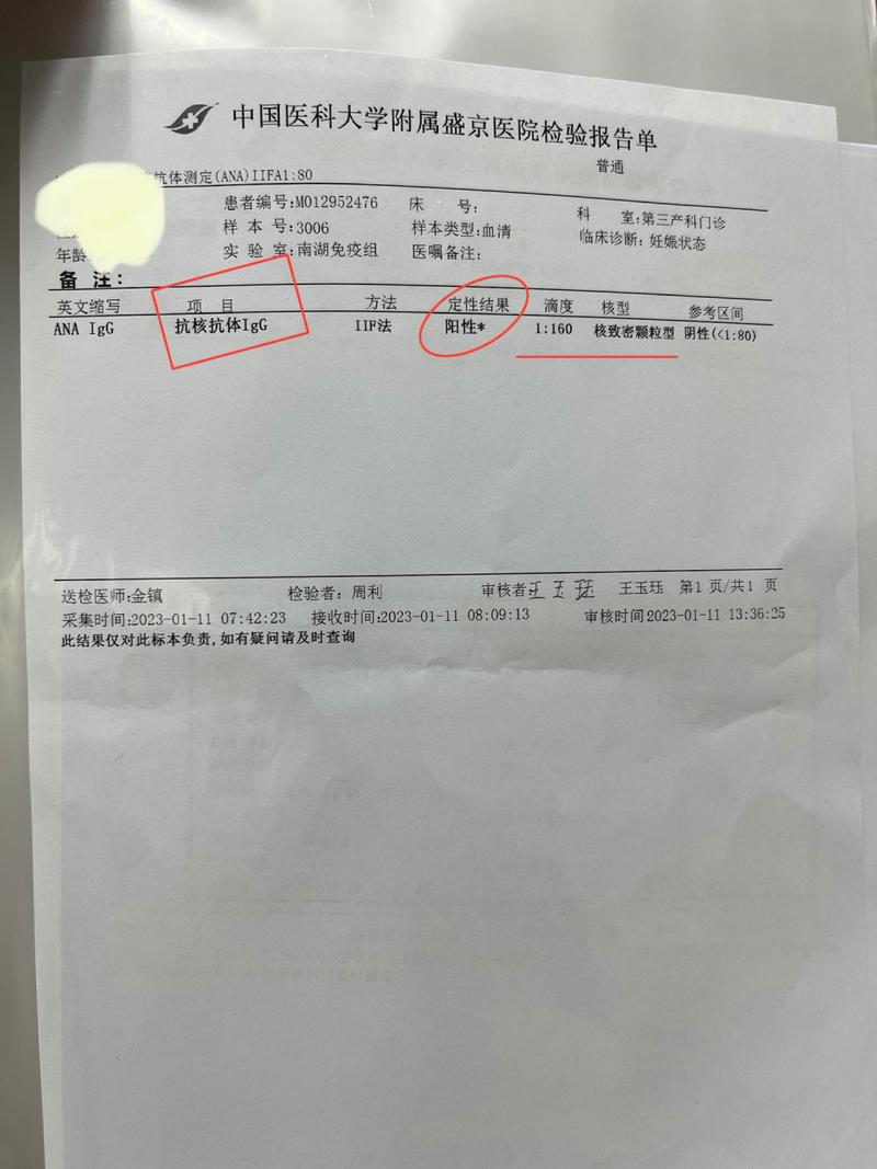 抗核抗体阳性