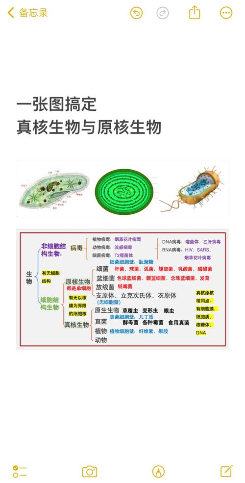 无原核生物