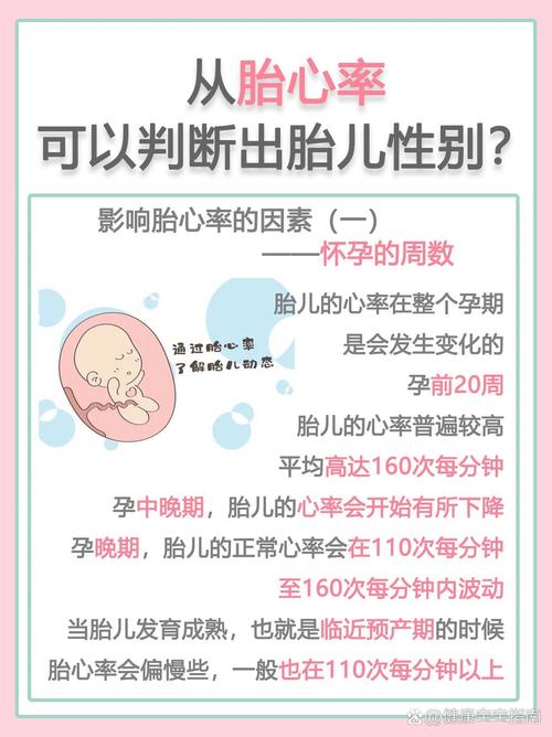 胎心率