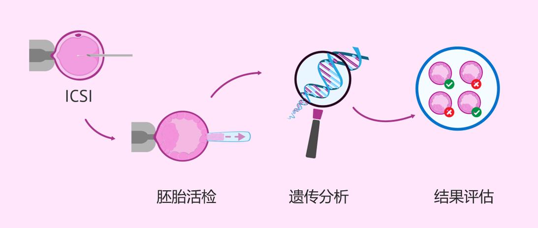胚胎基因筛选