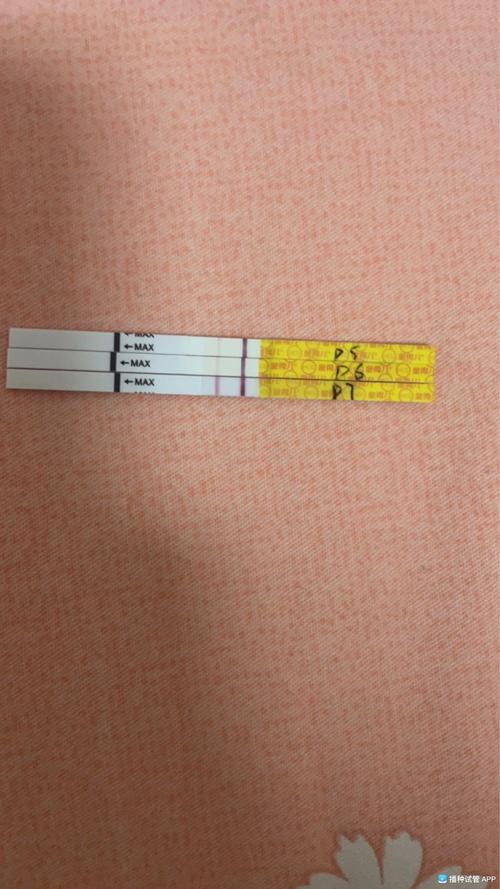移植成功第七天