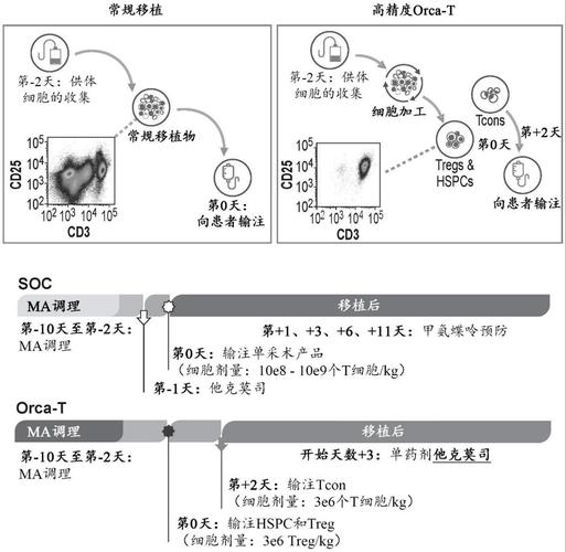 移植方式