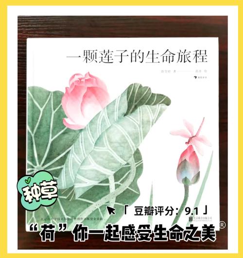 生命旅程