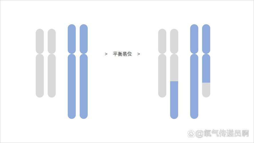 染色体易位