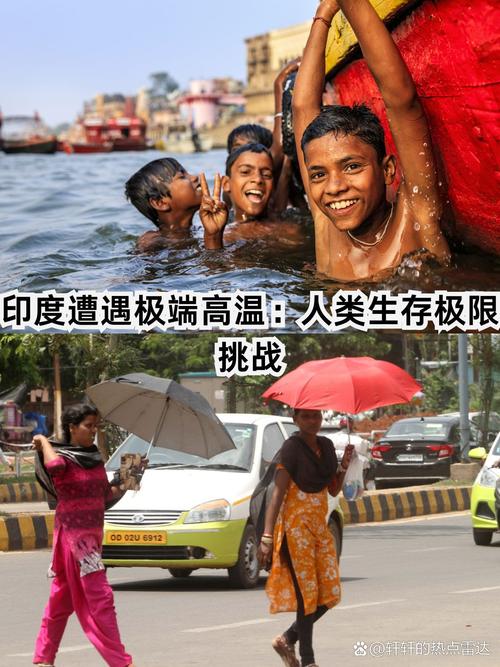  生存极限