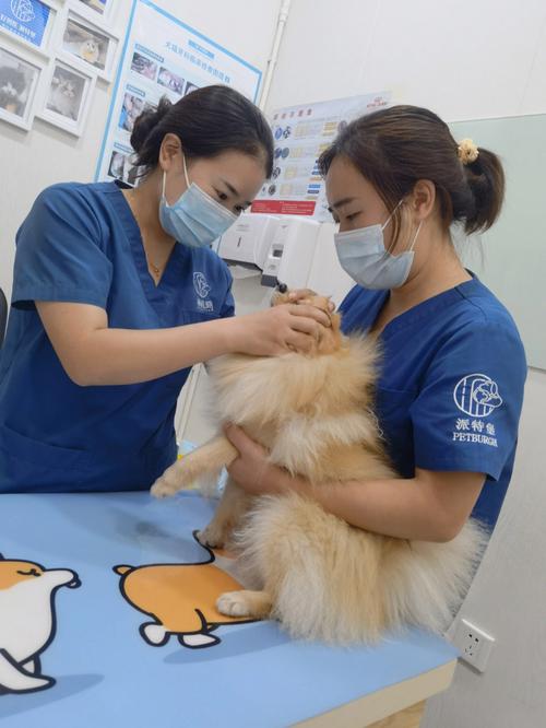 南京博美试管婴儿医院