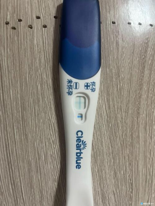 冻囊胚