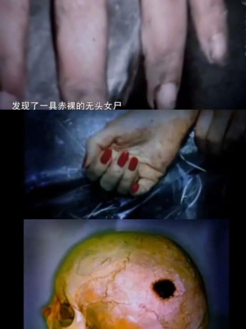 真实记录