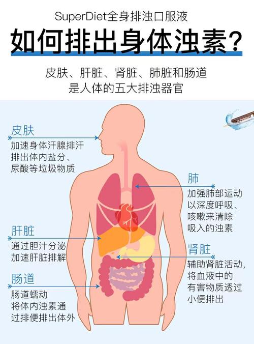身体代谢