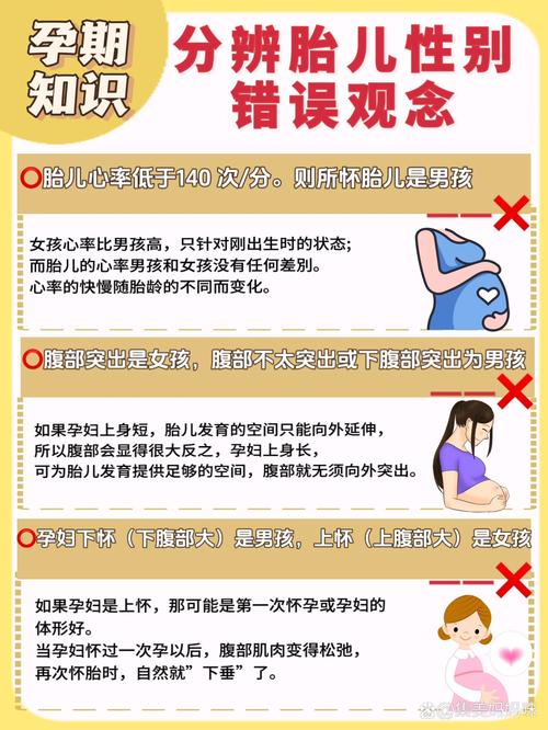 胎儿性别控制