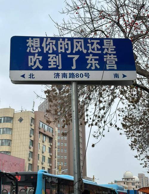 东营