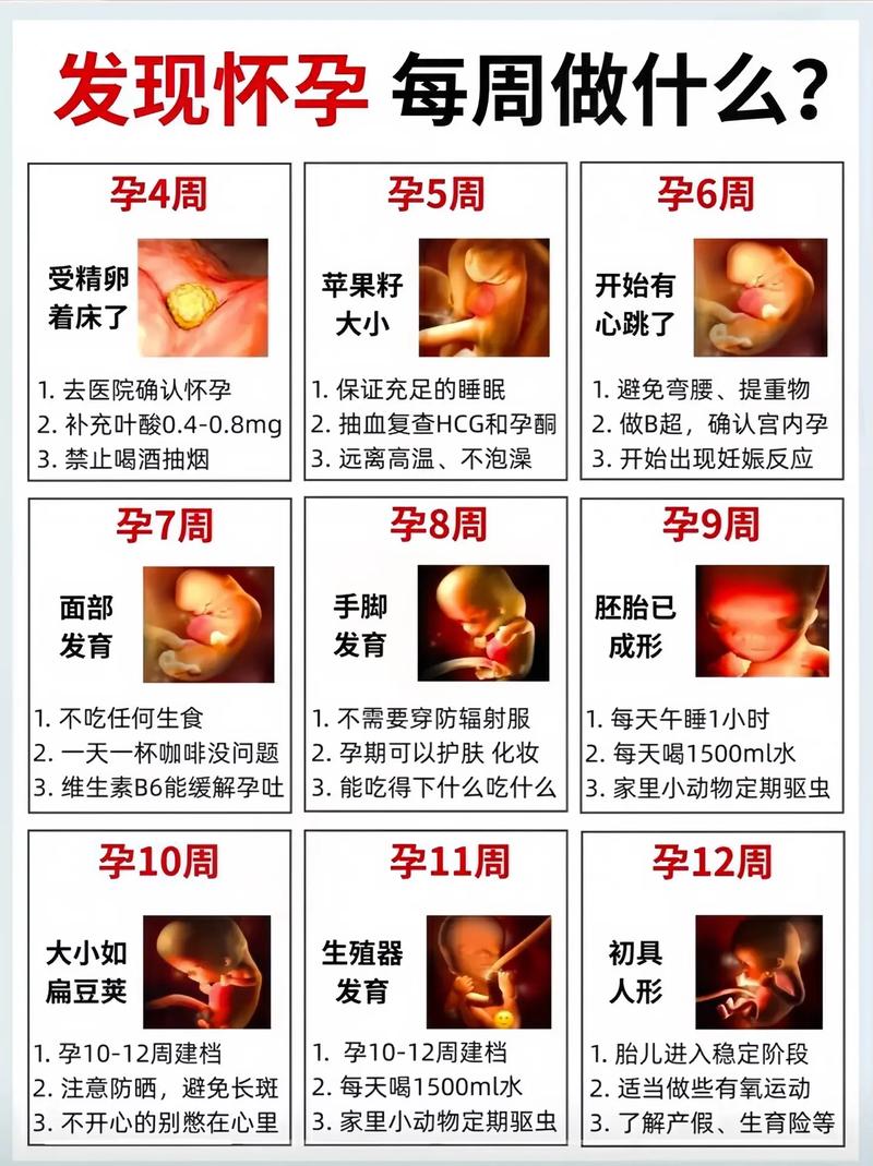 胎儿质量