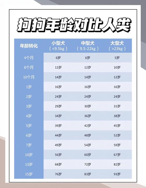 寿命对比