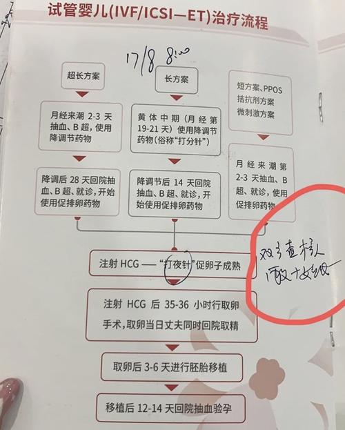 验孕
描述: 本文详细介绍了试管婴儿从准备到成功的各个步骤，包括前期检查、促排卵、取卵取精、体外受精、胚胎培养、移植及验孕等阶段，还提及相关数据及案例，为有需要的人提供全面了解。