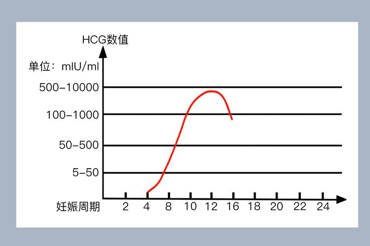 hCG水平
