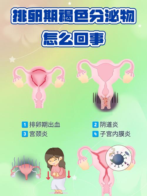 排卵问题