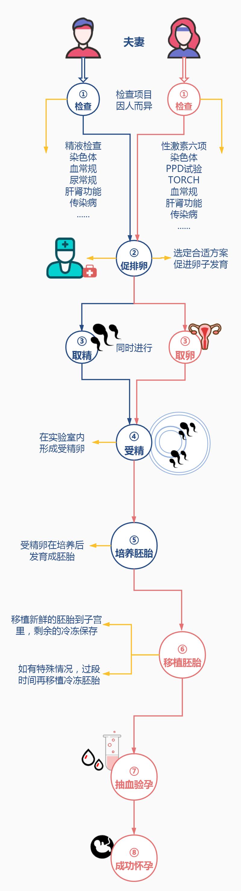 生殖医疗
描述: 本文详细介绍了韩国试管婴儿从前期咨询到验孕的完整流程，包括每个阶段的具体操作、关键要点，并列举相关数据说明影响因素。同时还给出了赴韩做试管婴儿的注意事项，助您了解这一复杂过程。