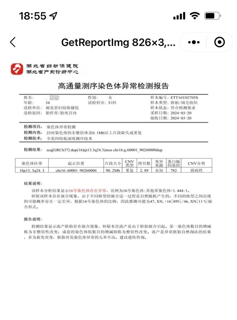 胚胎染色体异常