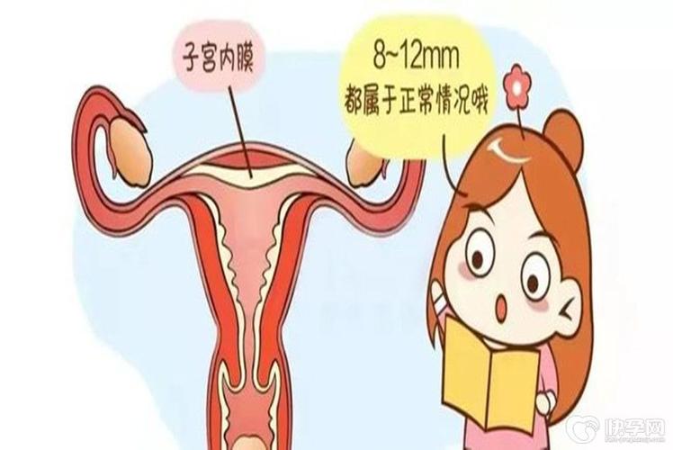 内膜跳动