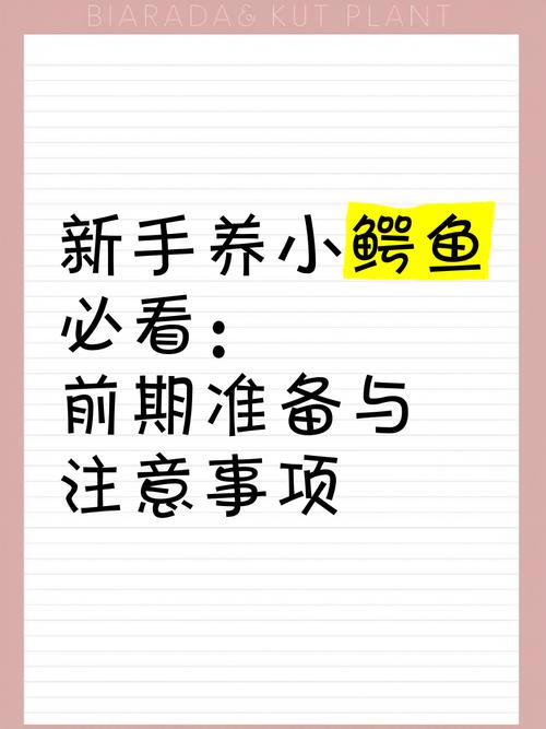 初期准备