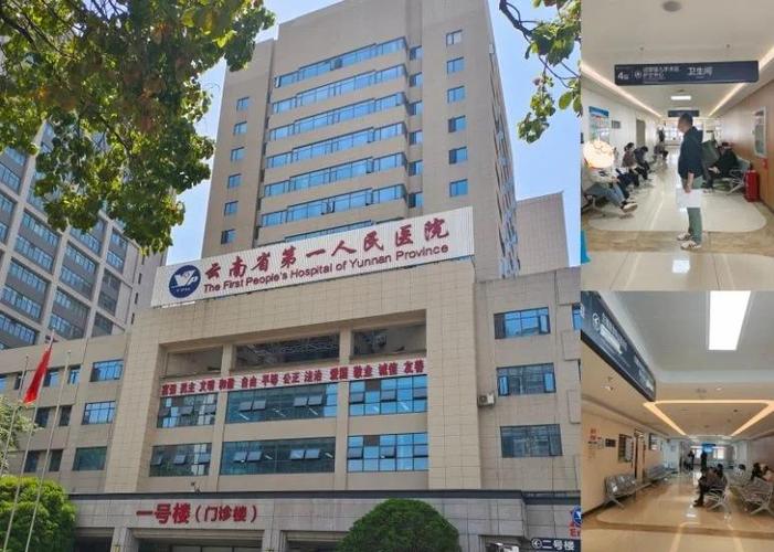 昆明试管婴儿机构