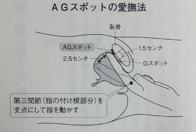 爱抚方式