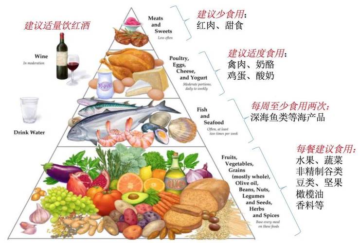  饮食指导