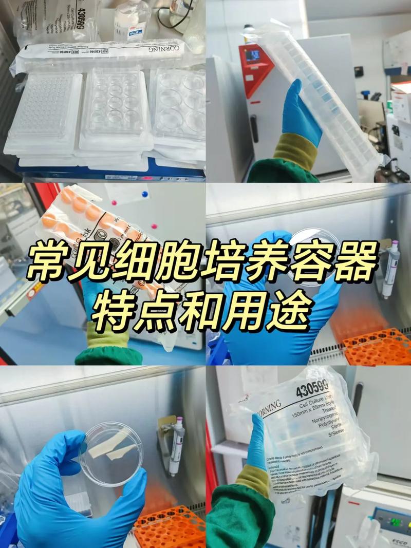  细胞培养技术